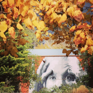 Autumn at the Mill Castlemaine